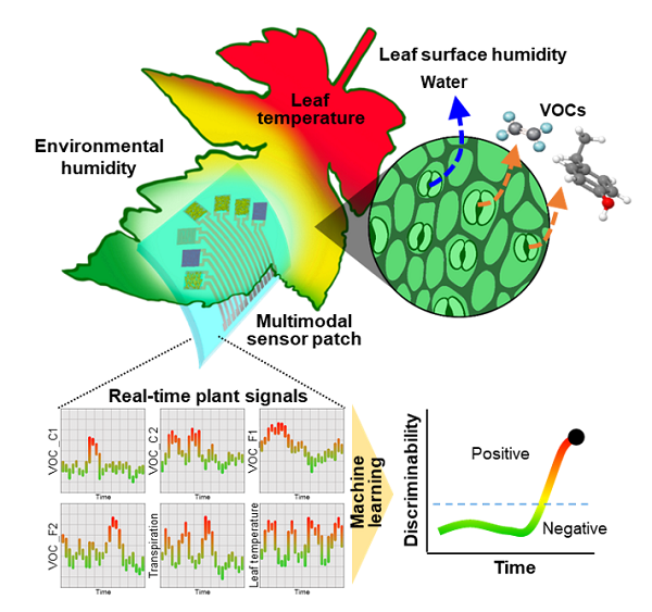 ＜Multifunctional Wearable Sensor Patch for Plant Health Monitoring＞